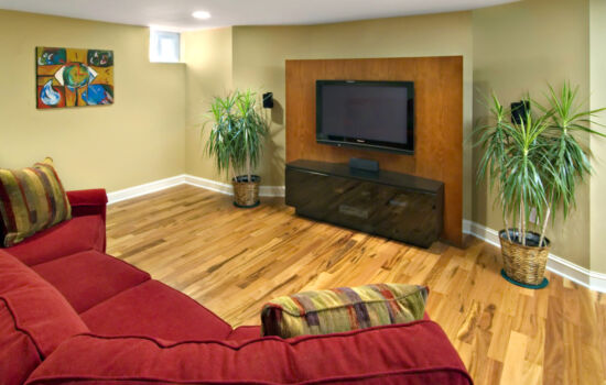 Lower Level Remodel, Minneapolis